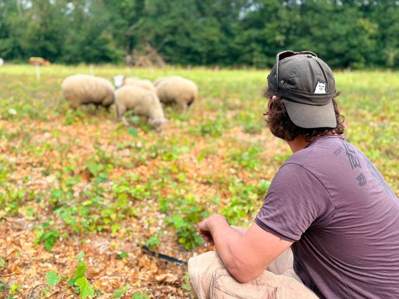 Rêverie Ferme pédagogique 